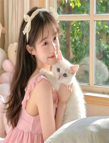 《不可抗力》评分测评：是否值得花时间观看的深度分析